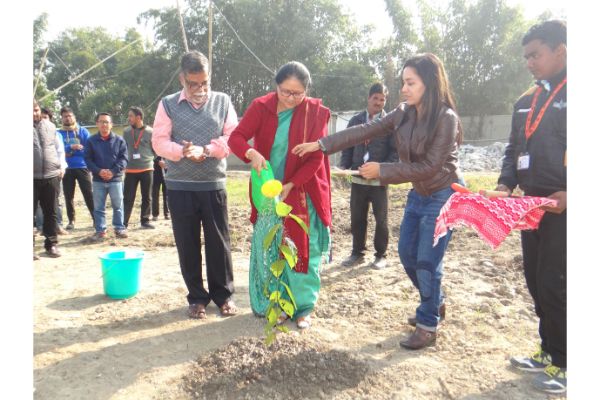 Director's visit and plantation drive 