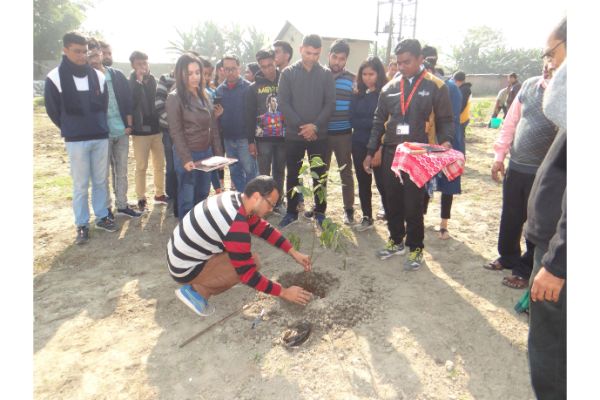 Director's visit and plantation drive 