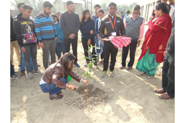 Director's visit and plantation drive 