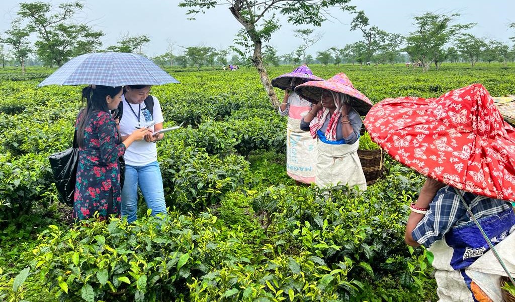 One Week Workshop on Development of Statistics for Tea-Garden Workers at AAU Jorhat